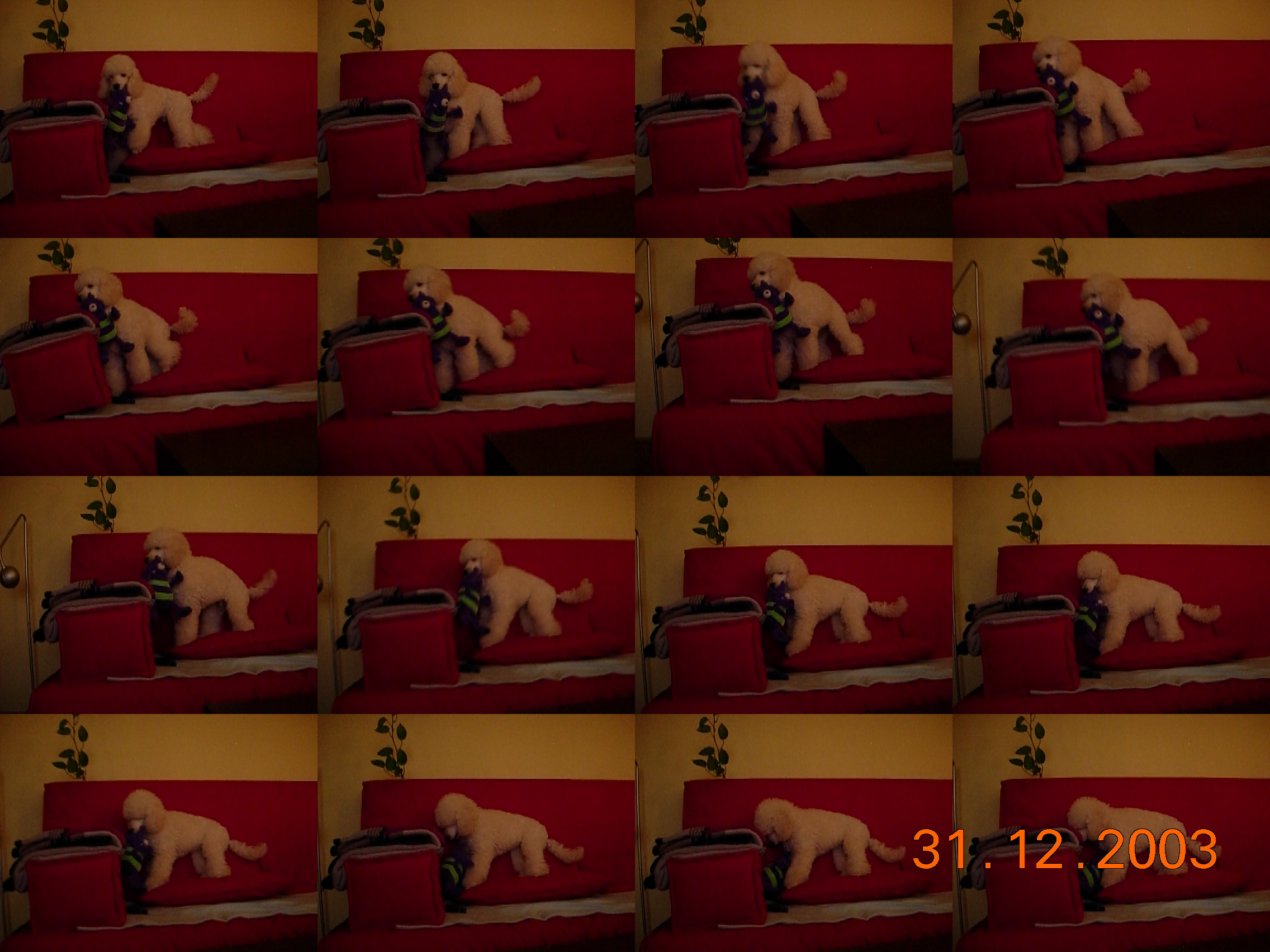 DSCN3547